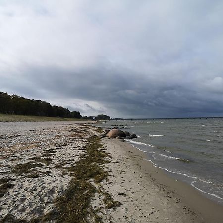 Ferienwohnungen "Weitblick" Und "Schwalbennest" Lodmannshagen Ruang foto