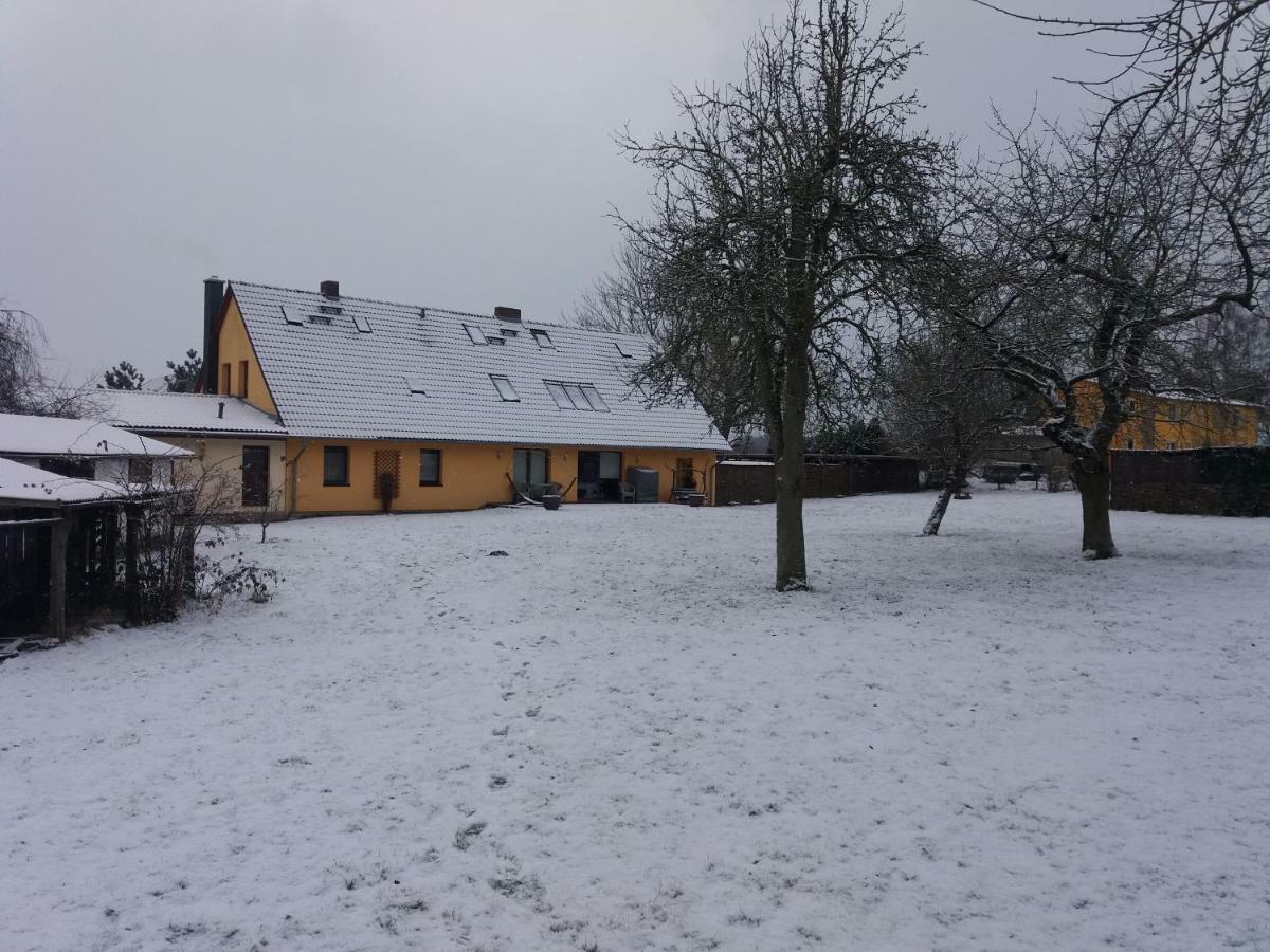 Ferienwohnungen "Weitblick" Und "Schwalbennest" Lodmannshagen Bagian luar foto