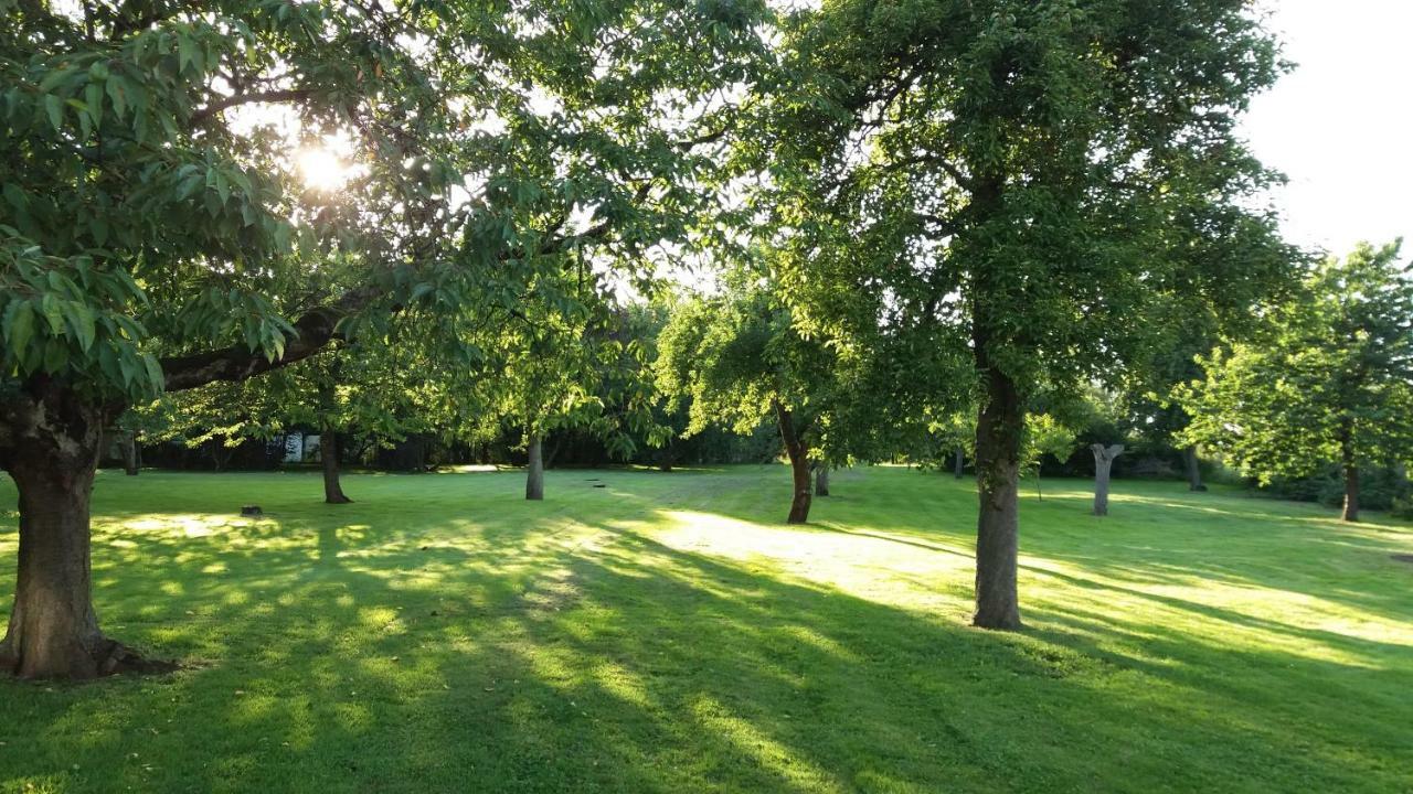 Ferienwohnungen "Weitblick" Und "Schwalbennest" Lodmannshagen Bagian luar foto